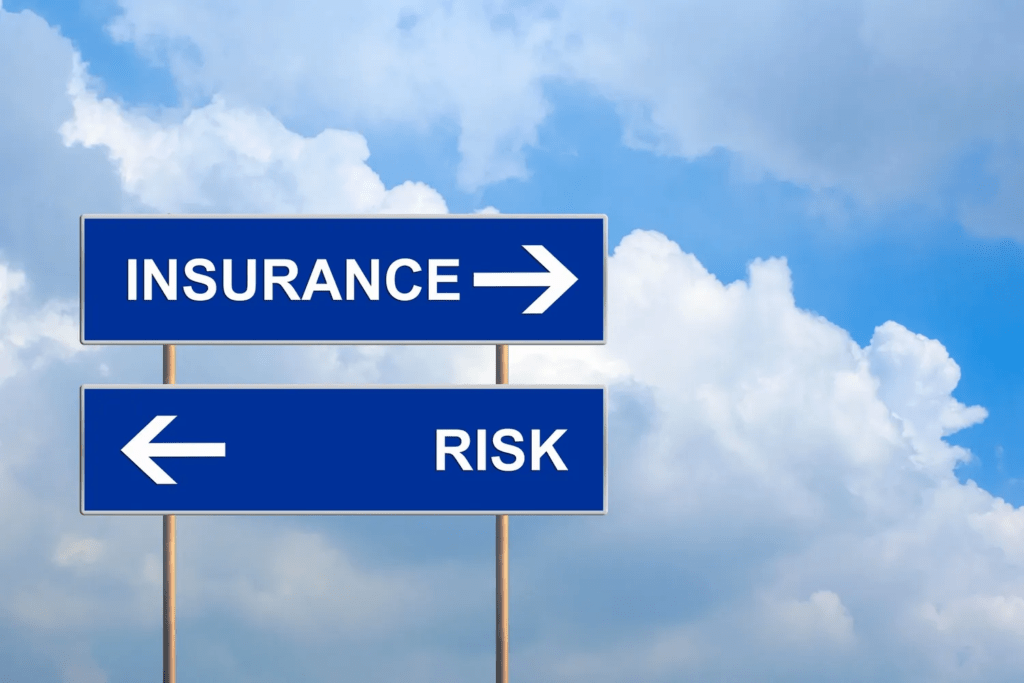 Insurance-Risk